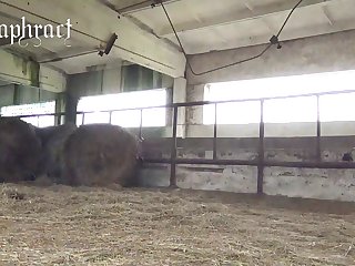 Team pussia  Petlove Masha 3