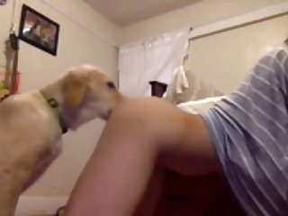 Non Non Non Cria La Pute Amoureuse Des Animaux