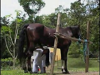 将她牢牢地限制在里面