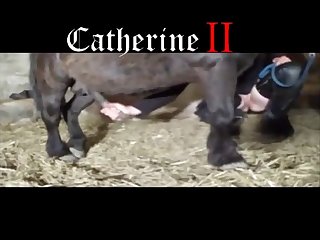 Sissi And Horse Compilation Part 8