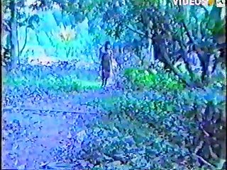 Sex Videography Animal
