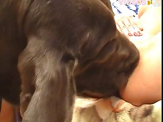 Again And Knew This Mating Session Was Coming To An End