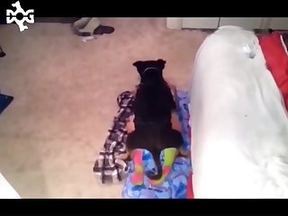 She Kept Spreading Her Scent Around Her Body Under Her Arms