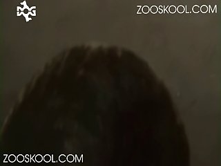 Rof Sex