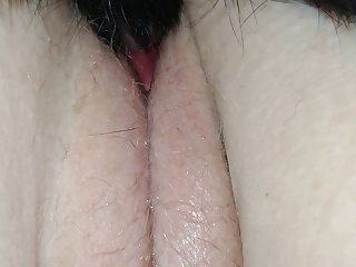 Free Pilorn Sex