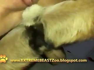 High Definition Movies