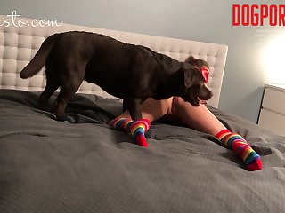 The Second I Released Dog He Was All Over Veronica