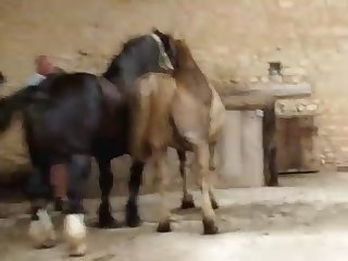 4emesaut Retq