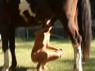 Horse Up My Ass 1