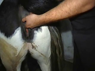 Minimarehump Part 1 Big 1