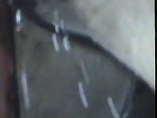 Animal. .gay. .male.donkeys.mating