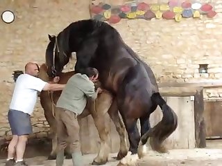 4emesaut Retq 1