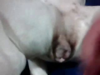 My Pup