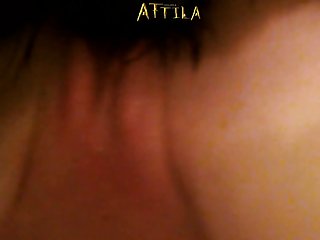 Bestiality Porn Sites List