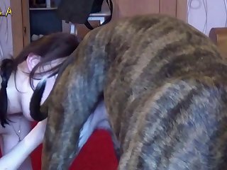 Veronica Bestiality Porn