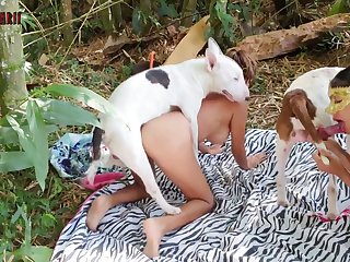 Fursuit Bestiality Porn