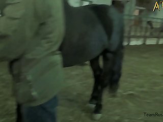Rough Bestiality Porn