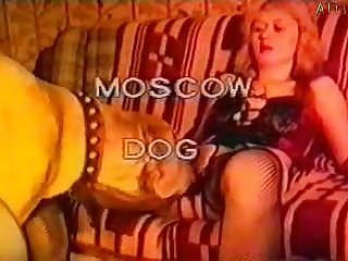Animal Porn Shop