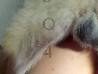 Extreme Painful Insertion Porn