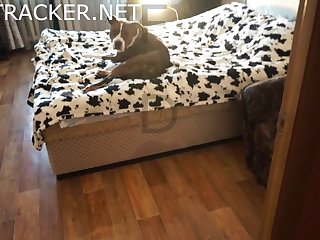 Ebony Teen Extreme Porn
