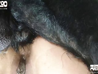 Extreme Porn Stories