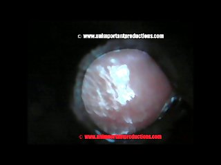 Hardcore Extreme Brutal Porn