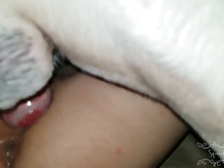 Extreme Anal Destruction Porn