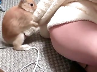 Japanese Extreme Bondage Porn