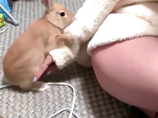 Japanese Extreme Bondage Porn
