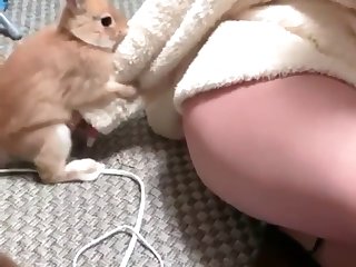 Japanese Extreme Bondage Porn