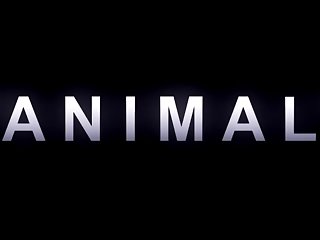Extreme Animal Bdsm Porn