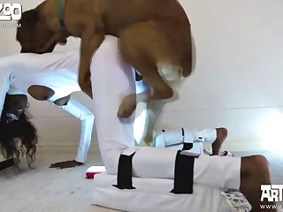 Porn Extreme Kink
