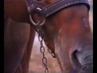 Extreme Orgasm Squirt Porn