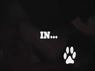 Extreme Facefarting Porn