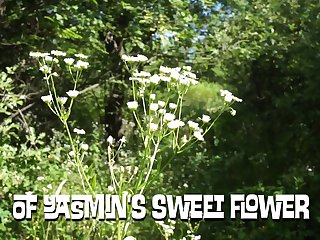 Free Extreme Porn Video