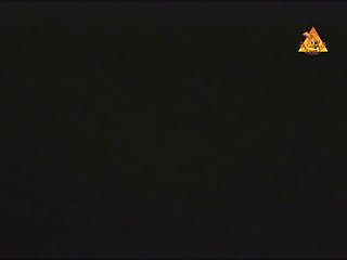 Extreme Pussy Whipping Porn