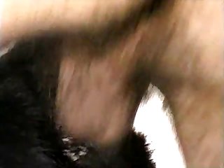 Extreme Hairy Lesbian Porn