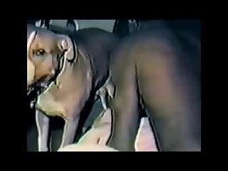 Extreme Cutting Porn