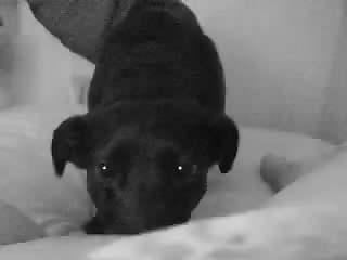 Extreme Mouth Fart Porn