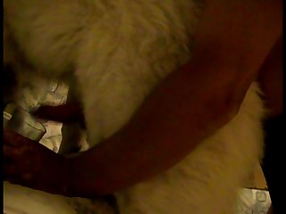 Asian Extreme Rough Porn