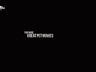 Extreme Audition Porn