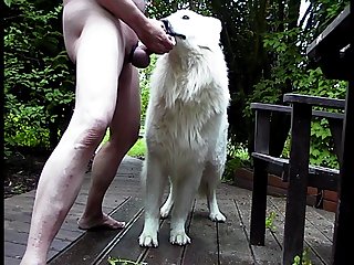 Extreme Straight Furry Porn