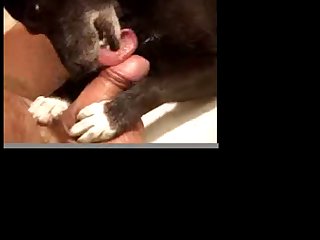 Screaming Extreme Porn