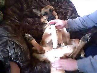 Porn Extreme Throatfuck
