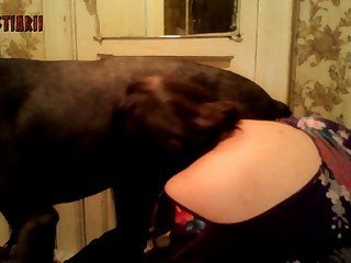 Extreme Pain Fuck Porn
