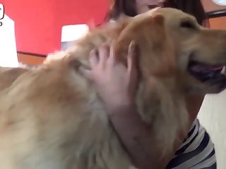 Extreme Porn Games Free