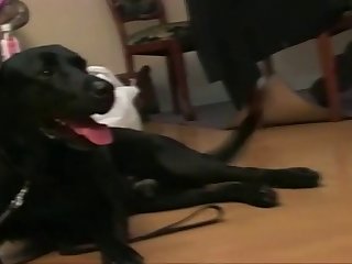 Extreme Sex Porn Movies