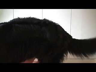 Extreme Porn Video Free