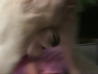 Extreme Ballbust Porn