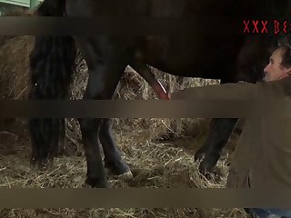 320px x 240px - Horse mom - XXX Videos | Free Porn Videos